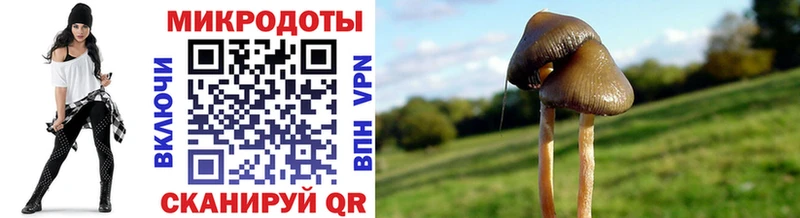 Галлюциногенные грибы MAGIC MUSHROOMS  Магнитогорск 