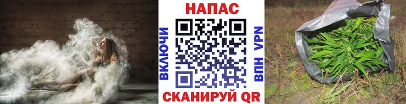 где найти   Магнитогорск  Бошки Шишки VHQ 
